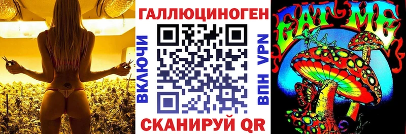 Псилоцибиновые грибы GOLDEN TEACHER  Катайск 